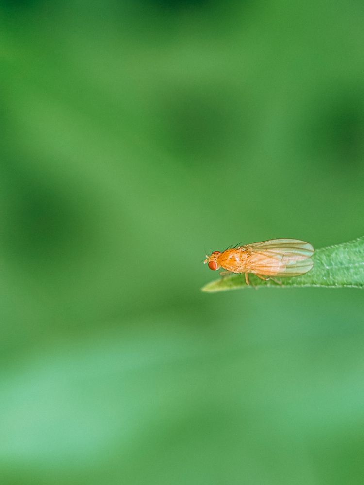 Photograph by Елена Михалева