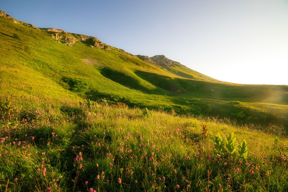 Photograph by Сергей Тихомиров