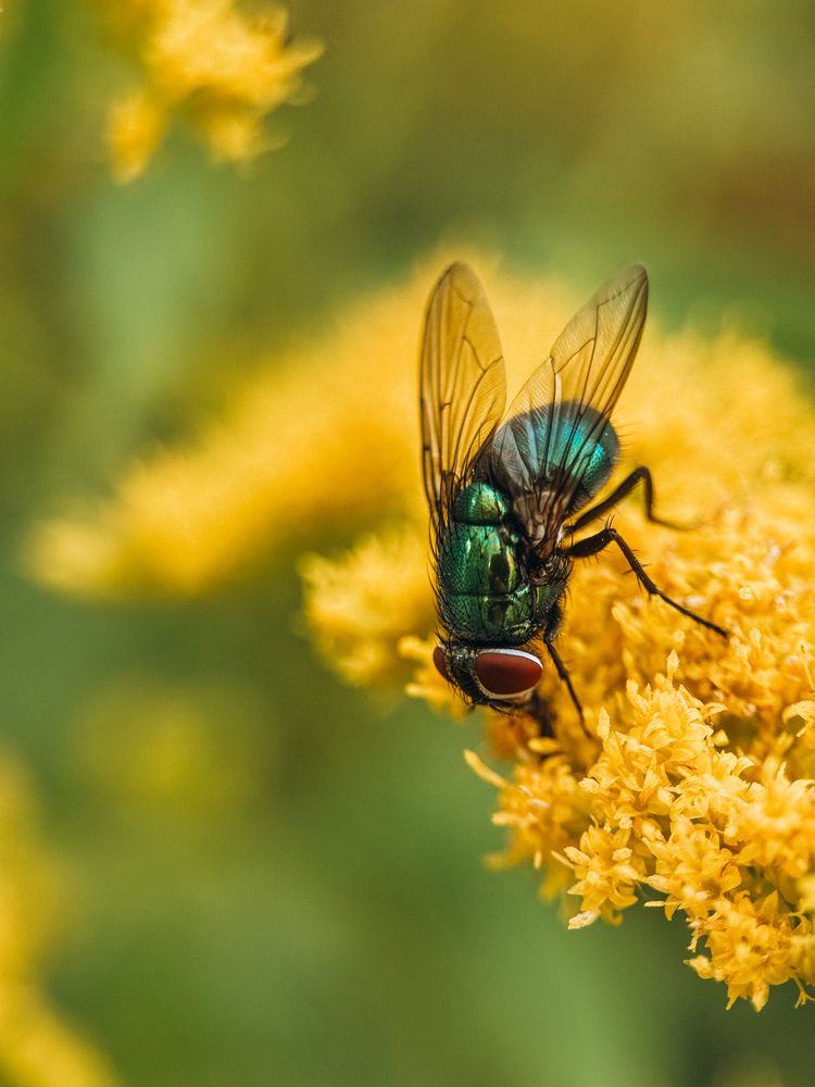 Photograph by Елена Михалева