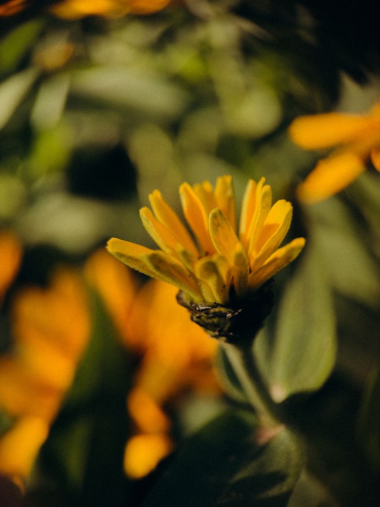 Photograph by Ляйсан Саляхиева