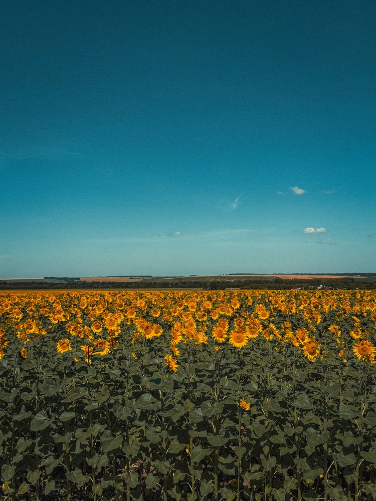 Photograph by Ляйсан Саляхиева