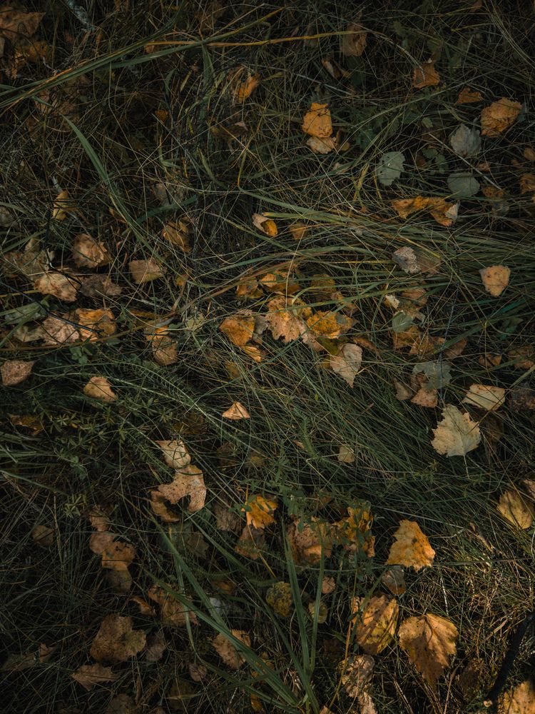Photograph by Ляйсан Саляхиева