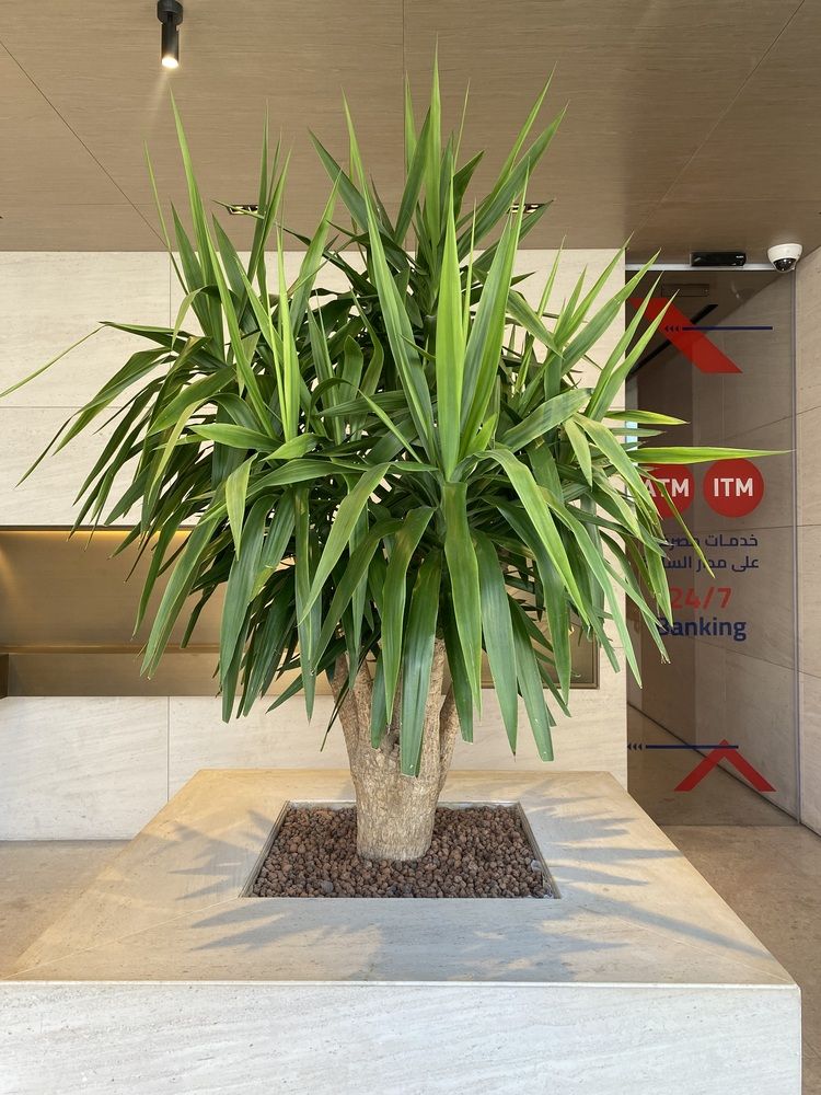 Photograph by Prasad babu Geddam