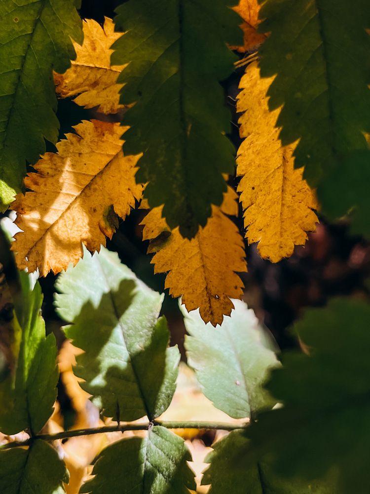 Photograph by Регина Габдулхаева