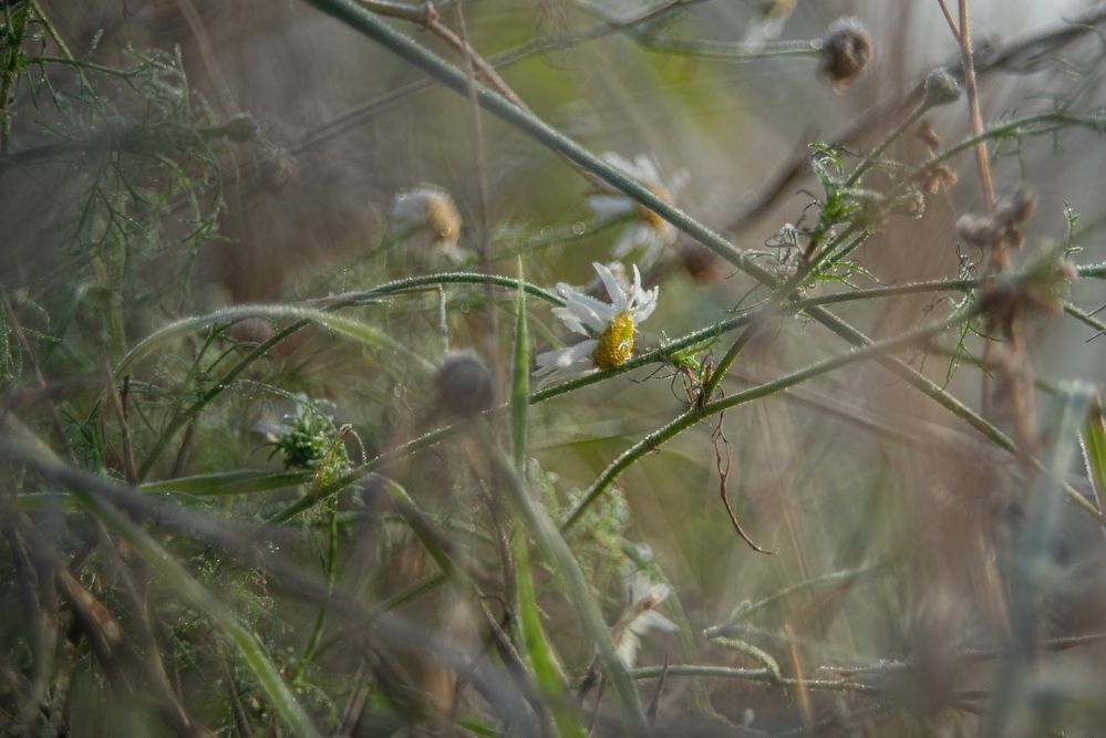 Photograph by Анастасия