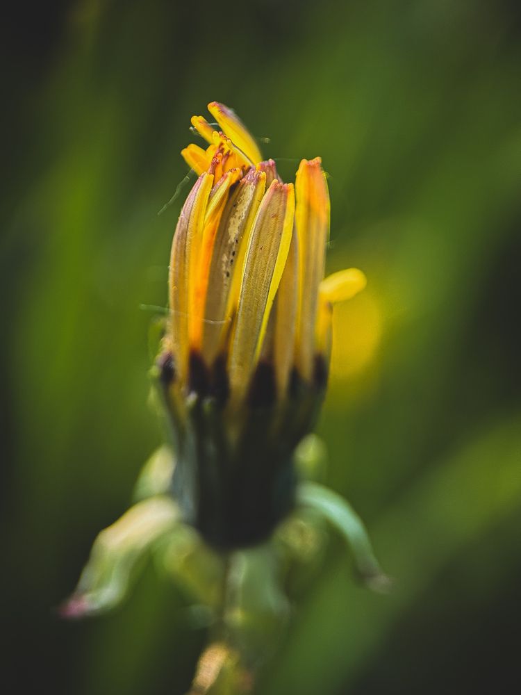 Photograph by Виктория