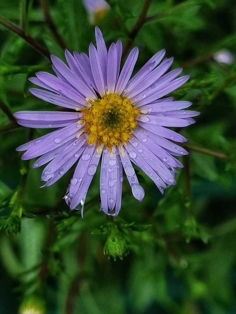 Photograph by Людмила Кухарева