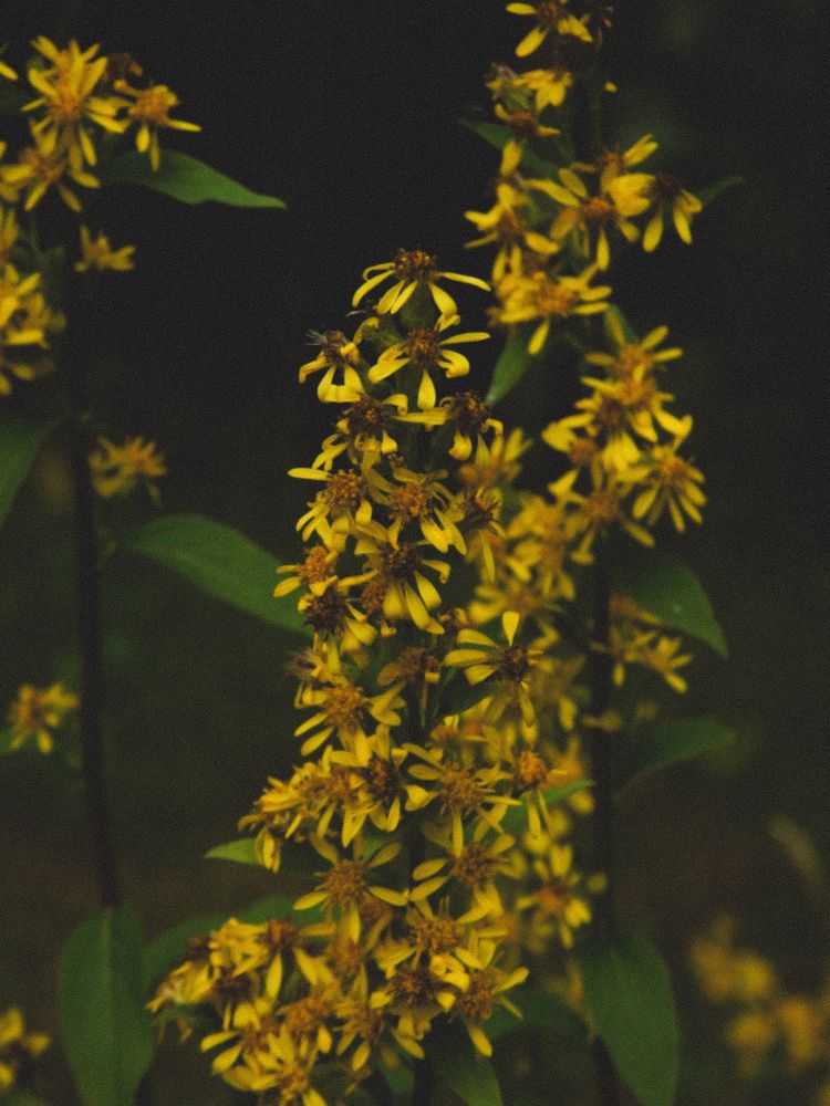 Photograph by Виктория