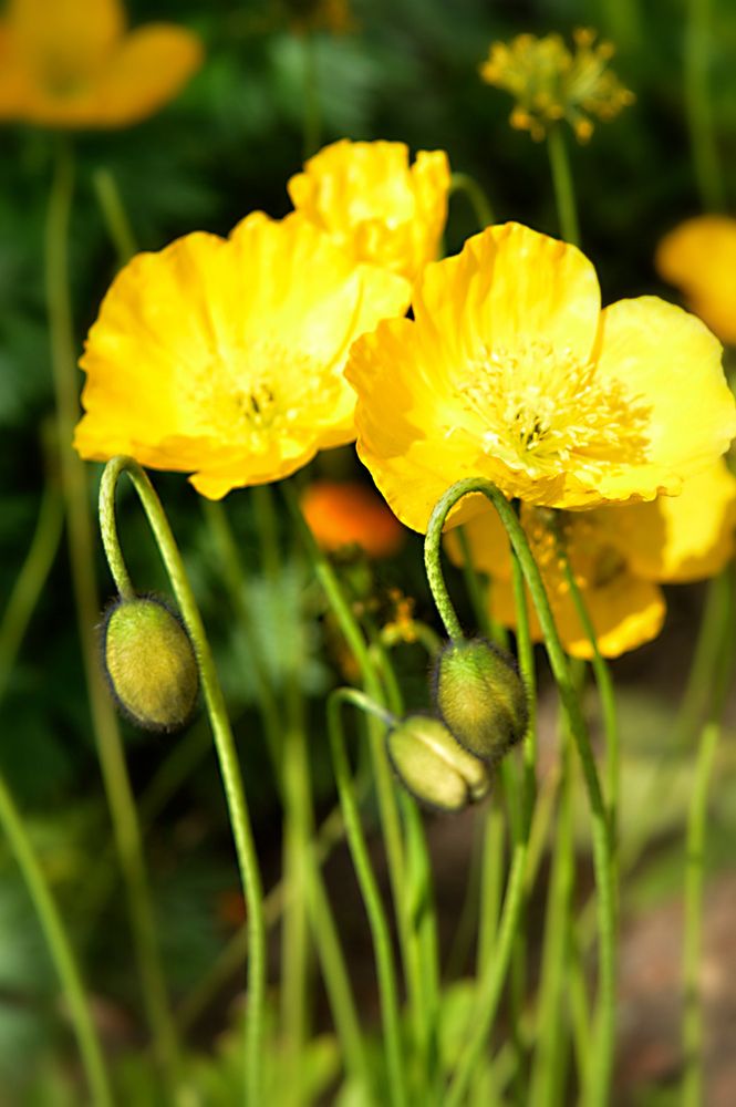 Photograph by Ирина Александрович