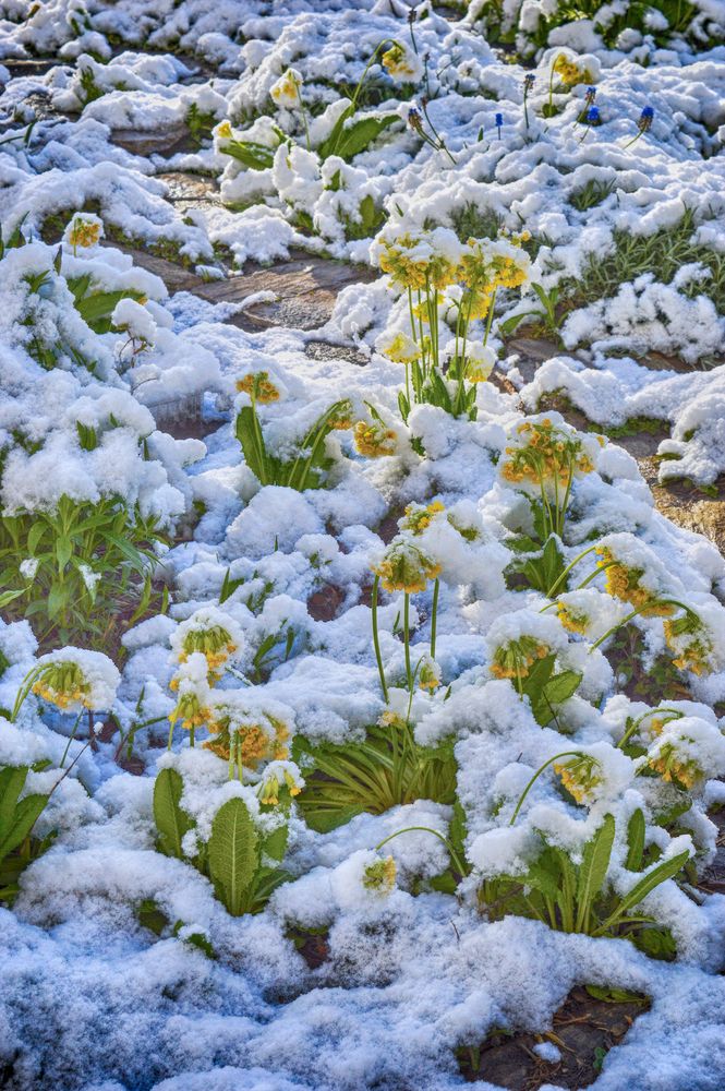 Photograph by Ирина Александрович