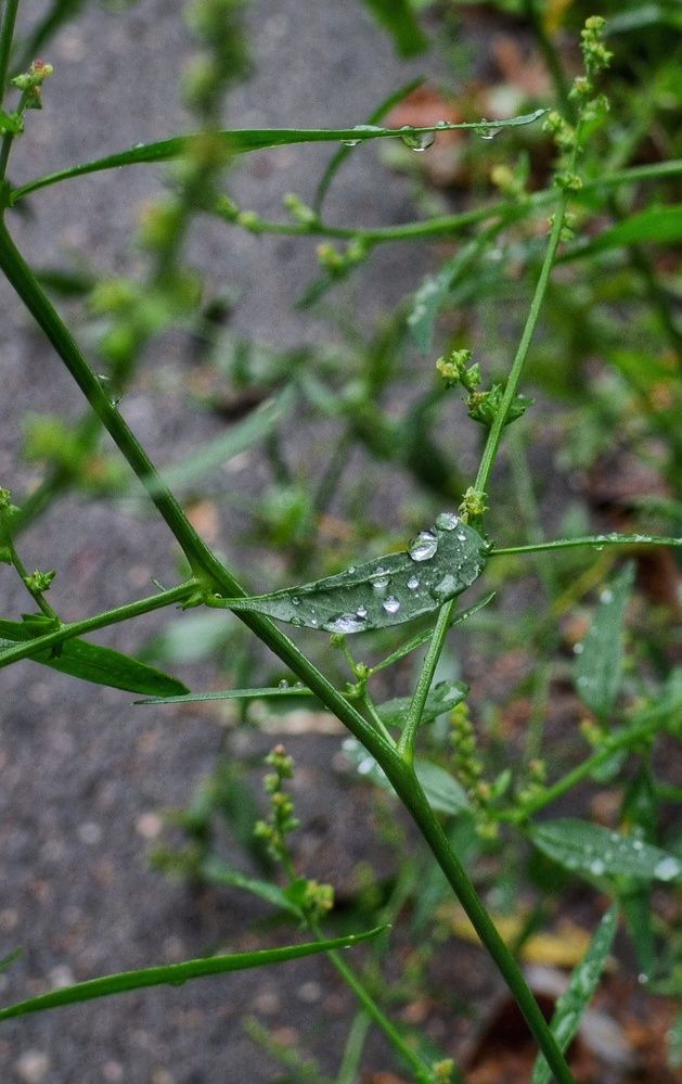 Photograph by Людмила Кухарева