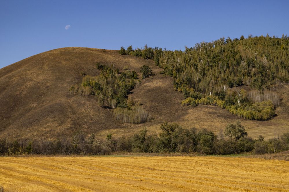 Photograph by Елена Перминова