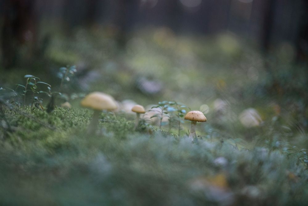 Photograph by Анастасия