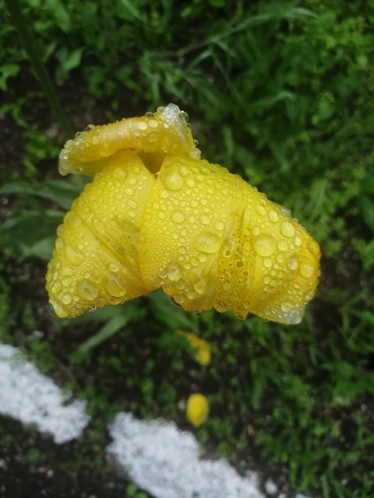 Photograph by Мила Мит