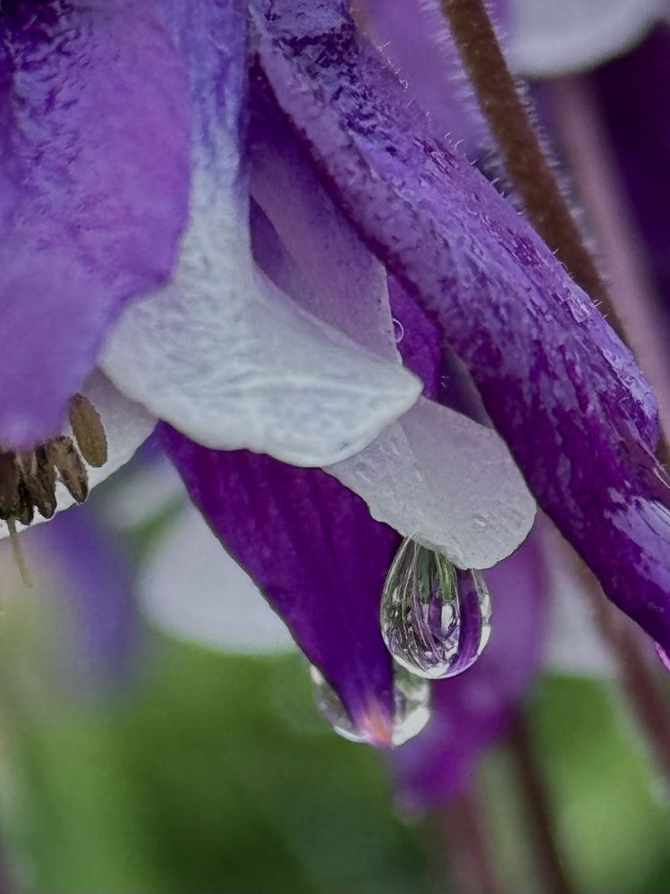 Photograph by Татьяна Семёнова