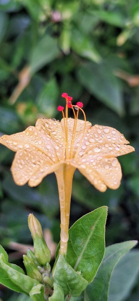 Photograph by Sina Saadati