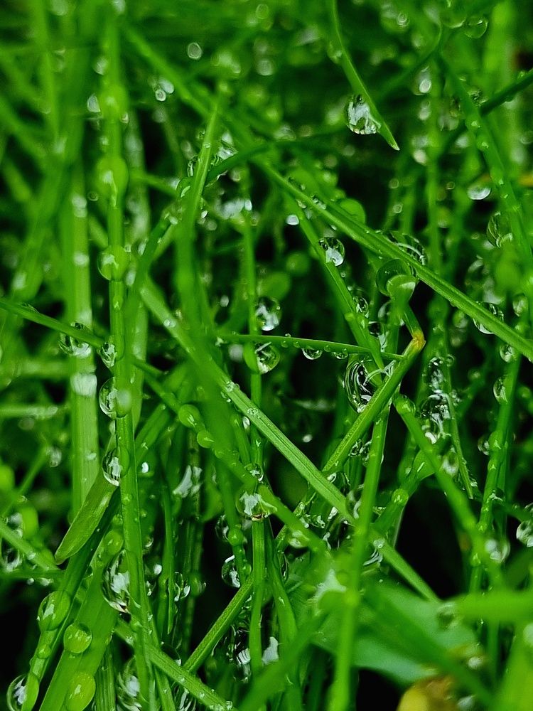 Photograph by Людмила Кухарева