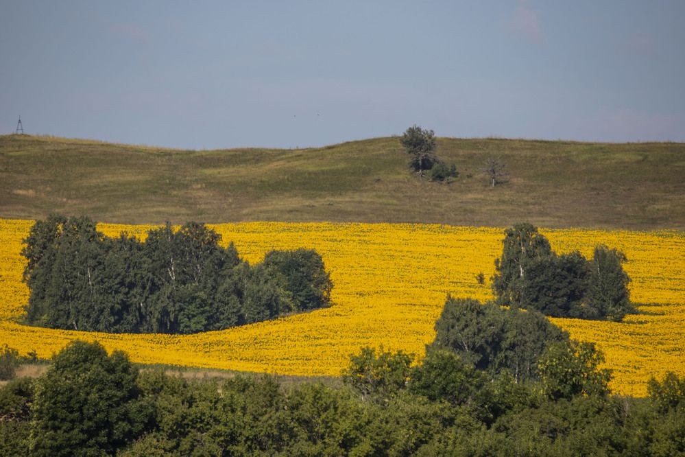 Photograph by Елена Перминова
