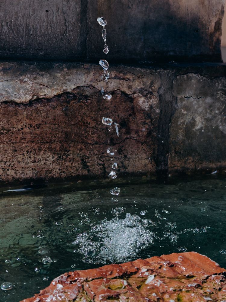 Фотография автора Tatyana