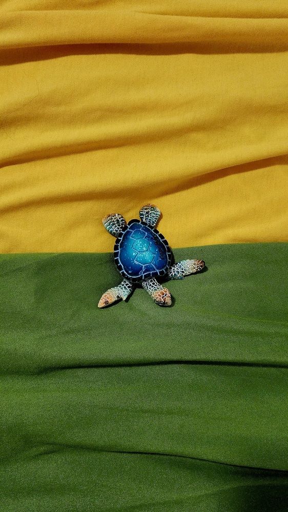 Фотография автора Adriana Rocha