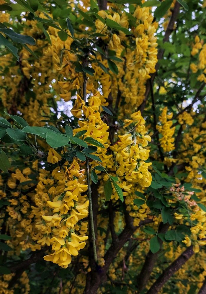 Photograph by Юлия Коробкова