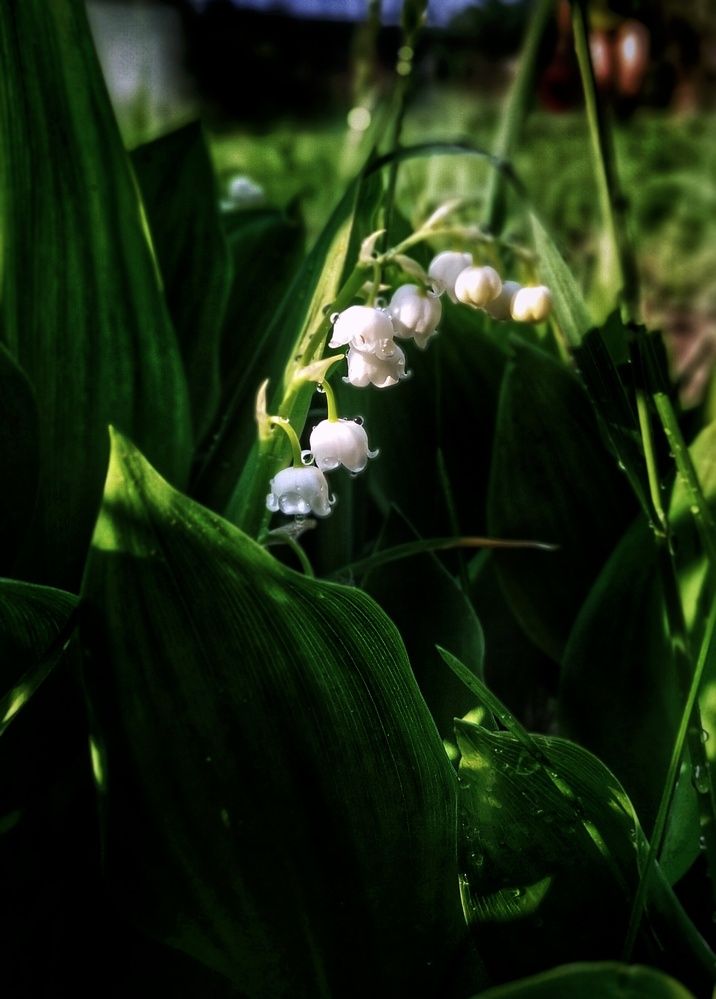 Photograph by Максим Агафонов