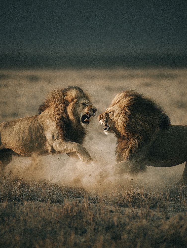 Photograph by EVGENII KOCHETKOV