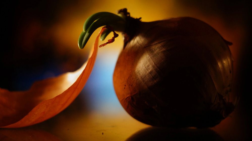 Photograph by Наталья Канищева-Медынская