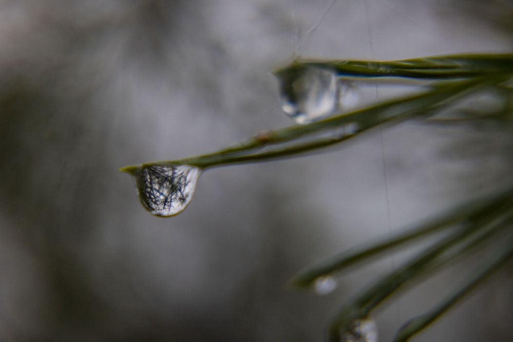 Photograph by Елена Перминова