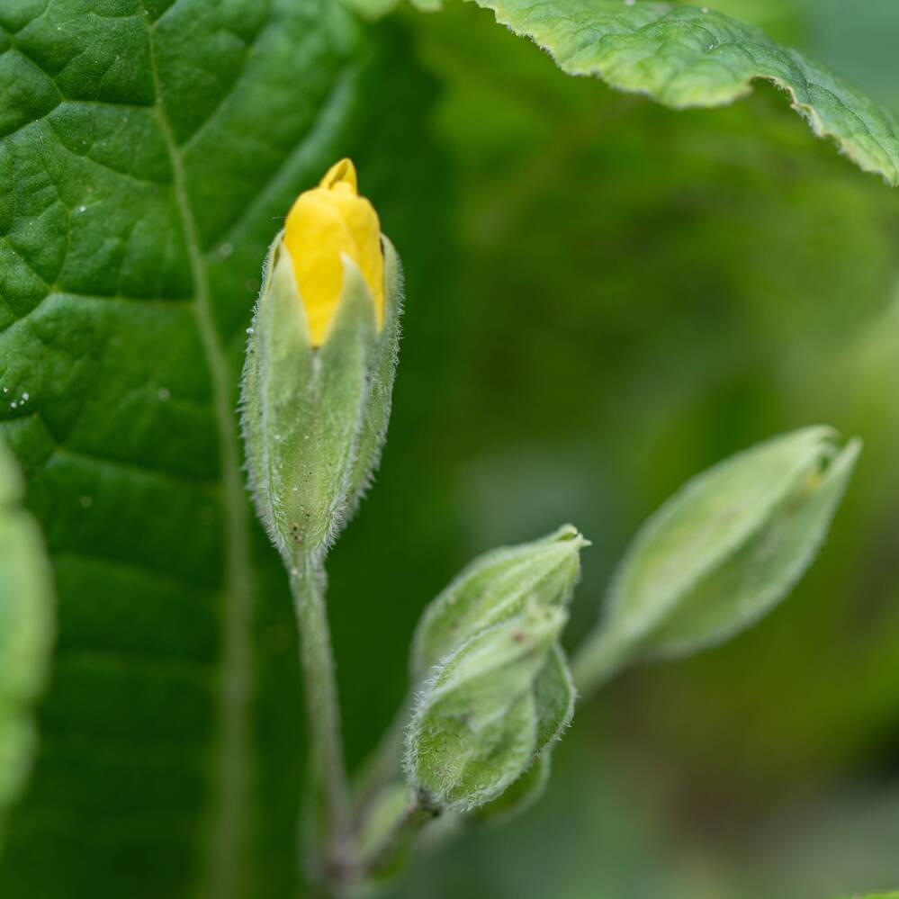 Photograph by Ксения Шилина