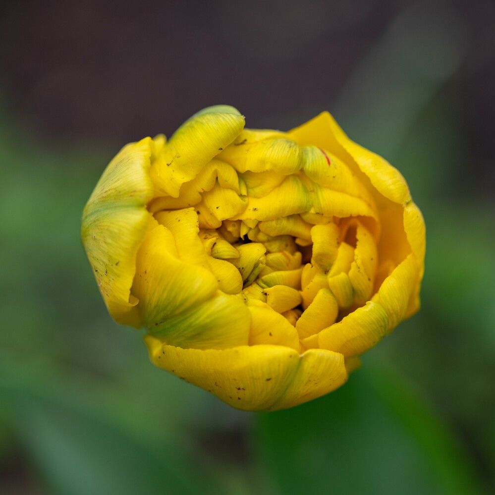 Photograph by Ксения Шилина