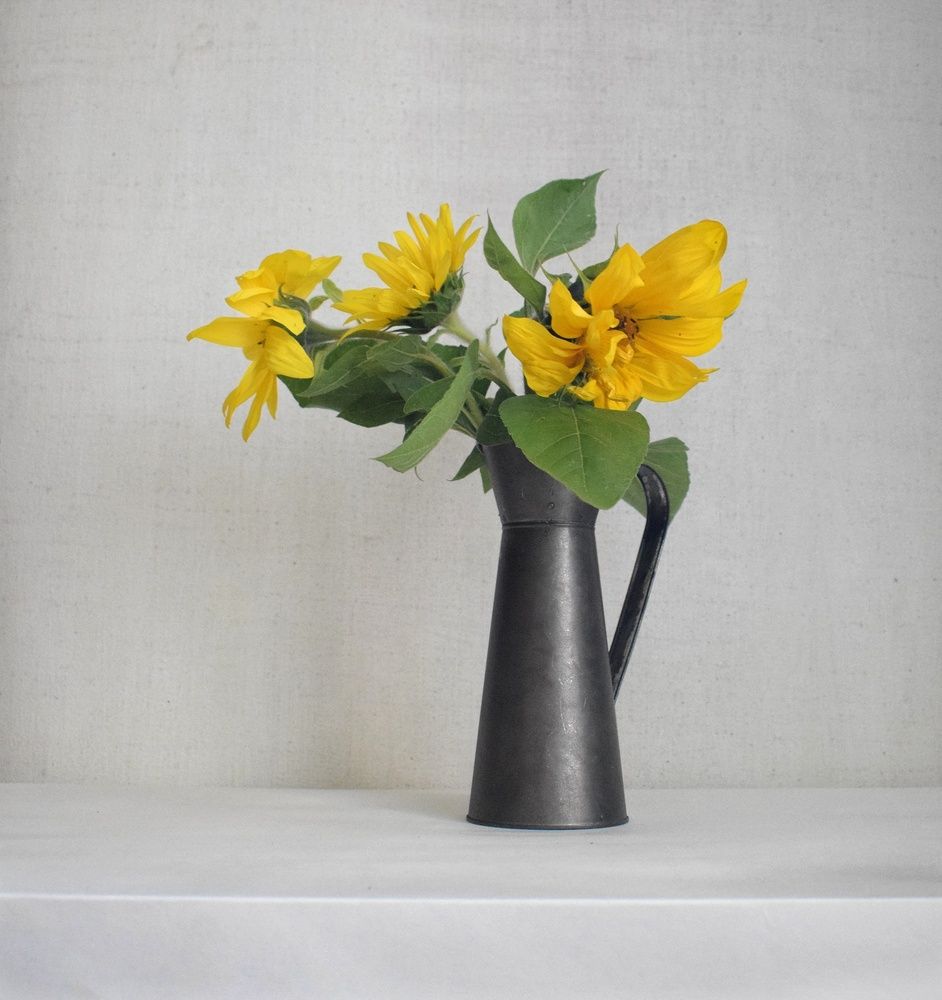 Photograph by Антонина Шабышева