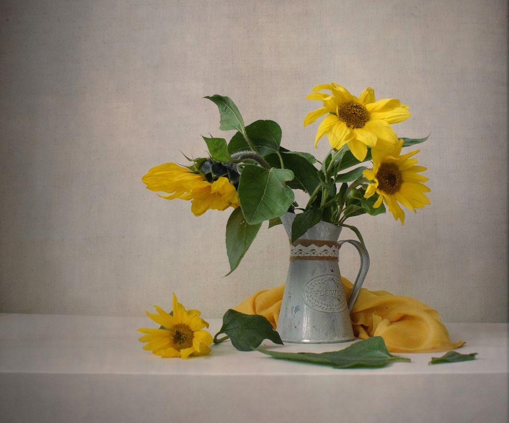 Photograph by Антонина Шабышева