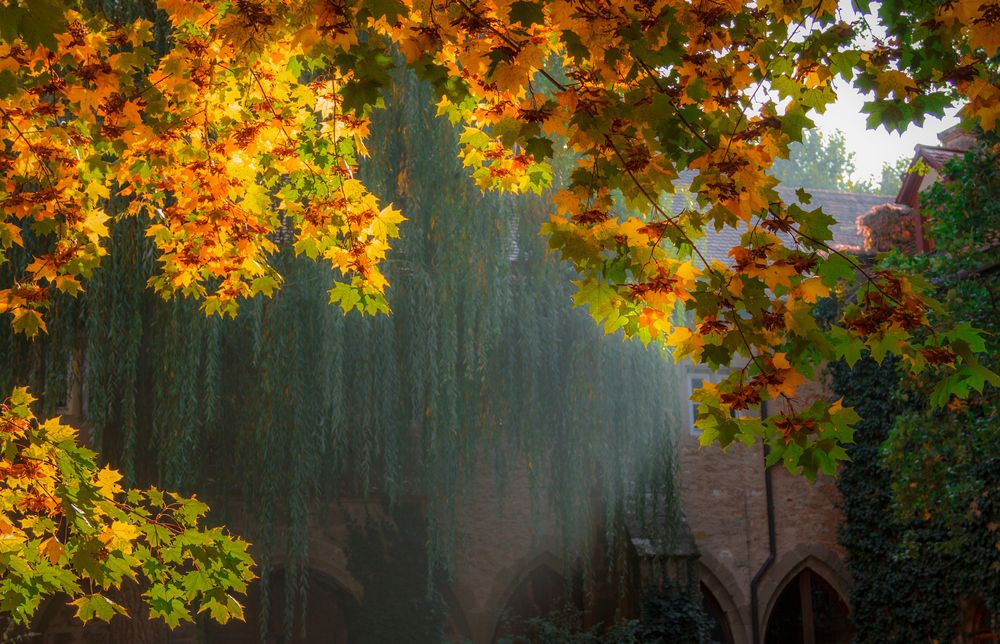 Photograph by Pavel Gukov