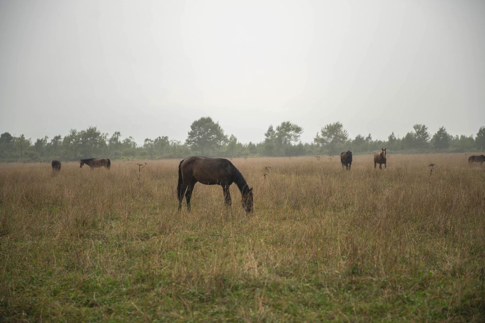 Фотография автора Алёна Максимова