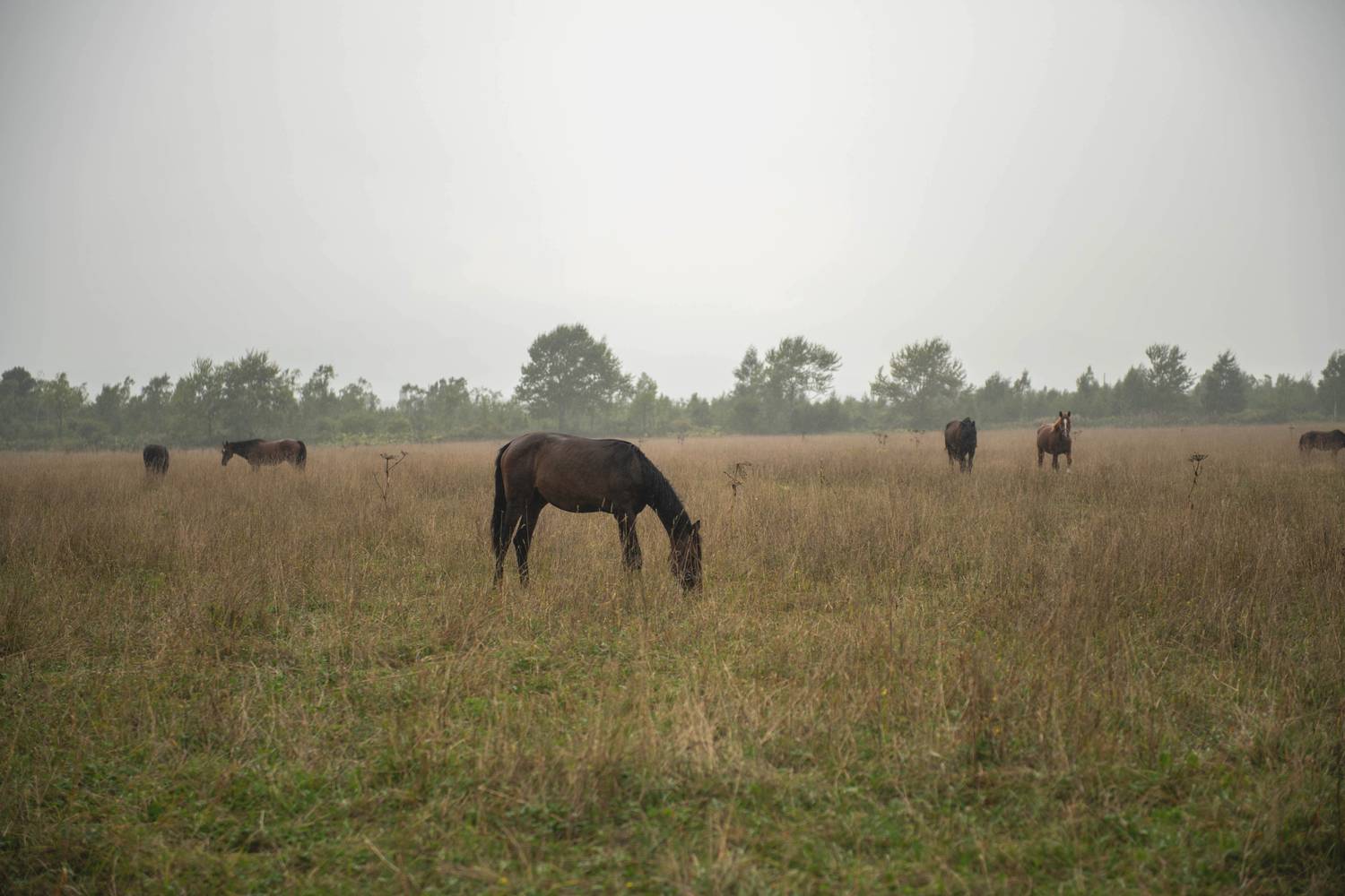 Фотография #12584880