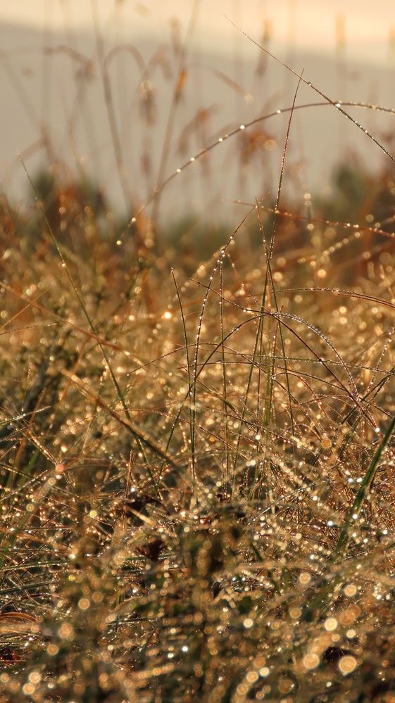 Photograph by Ольга Веселова