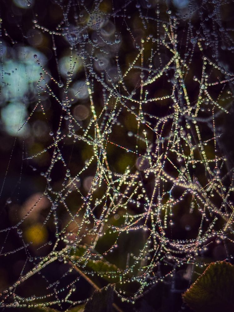 Photograph by Светлана Долганова