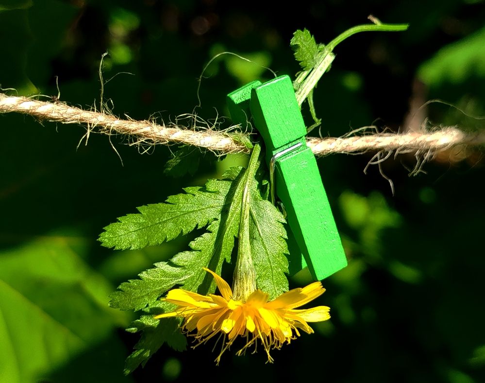 Интересная идея