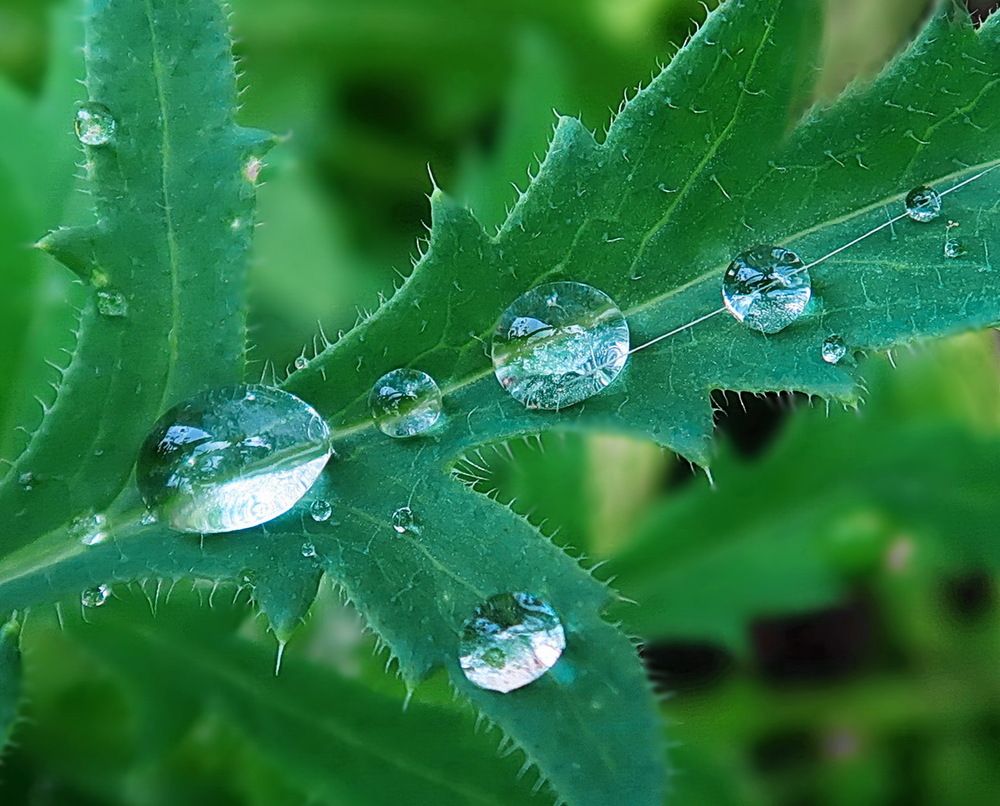 Photograph by Нина