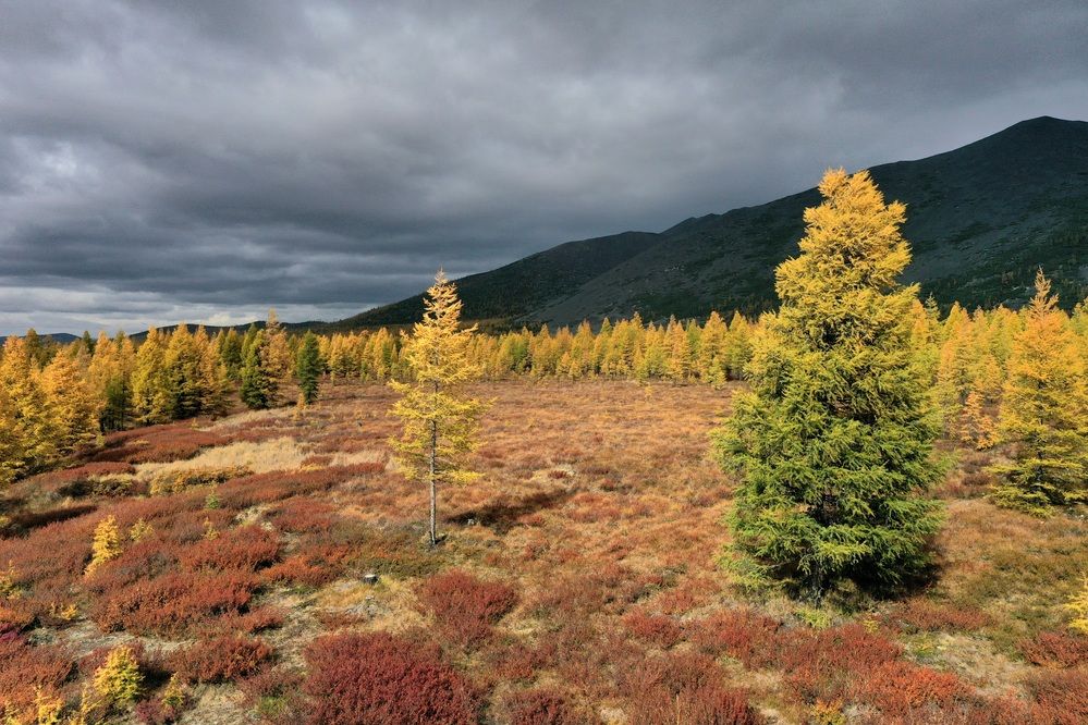 Photograph by Лариса Ким