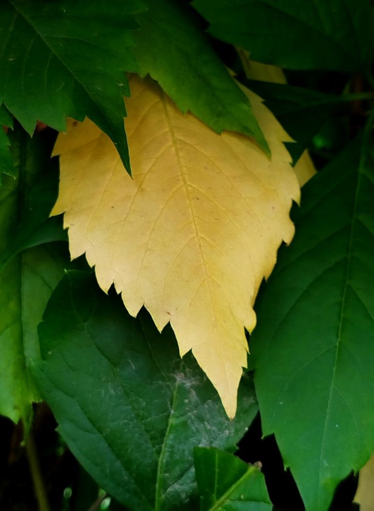 Начало осени