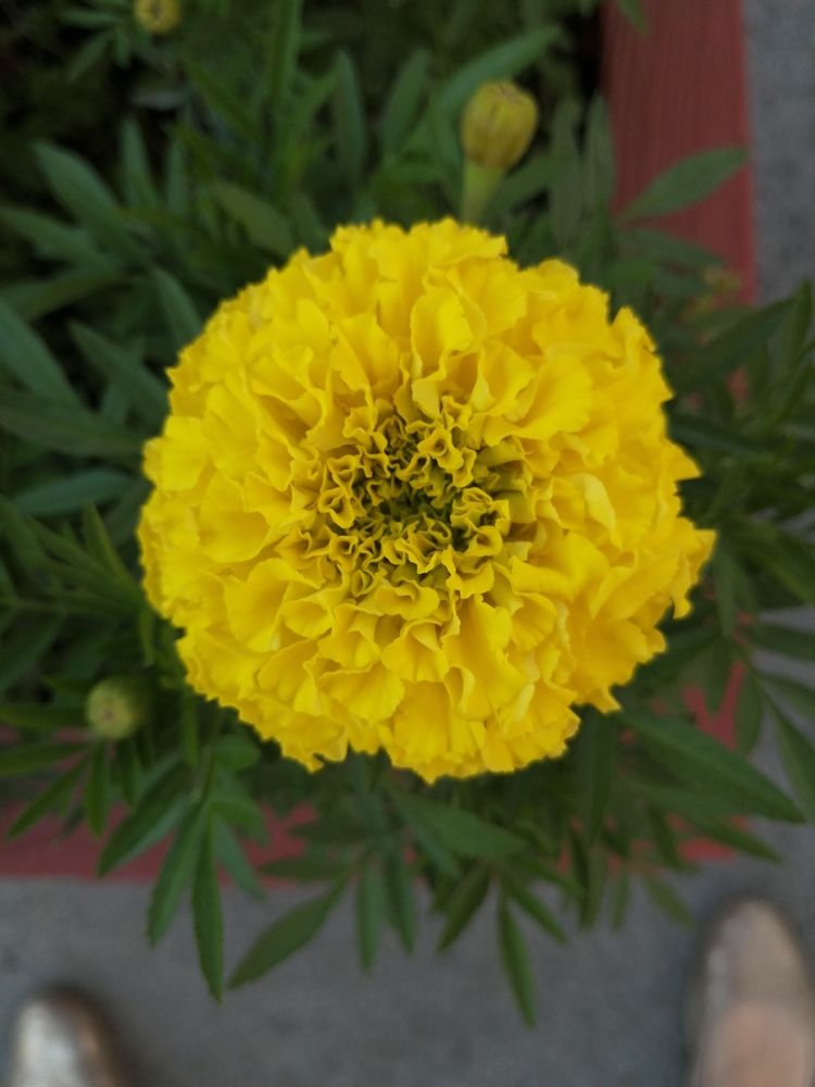 Photograph by Наталия