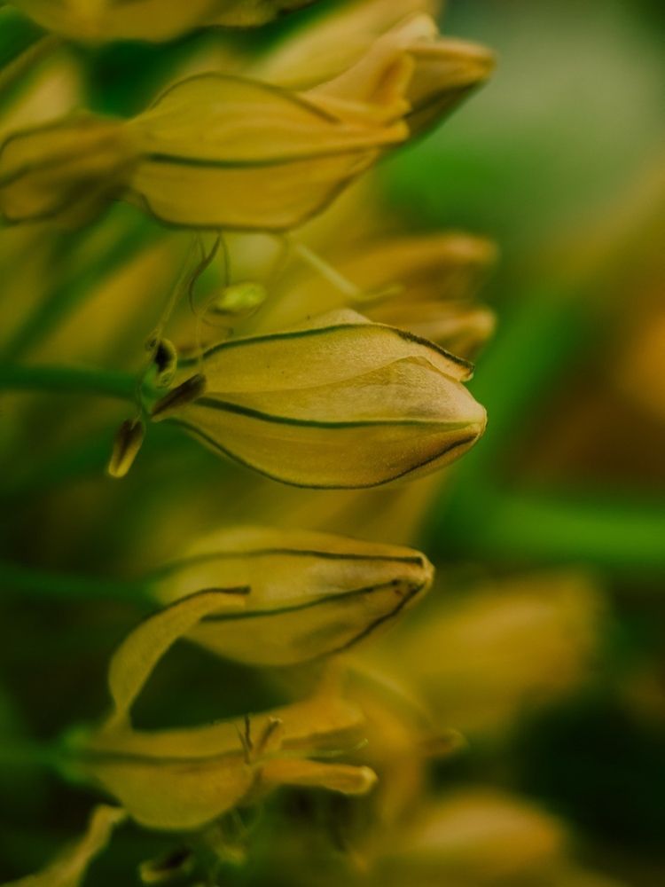 Фотография автора Мария