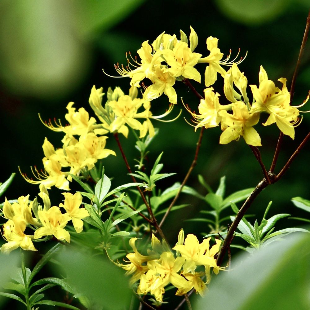 Photograph by Dario Meroni