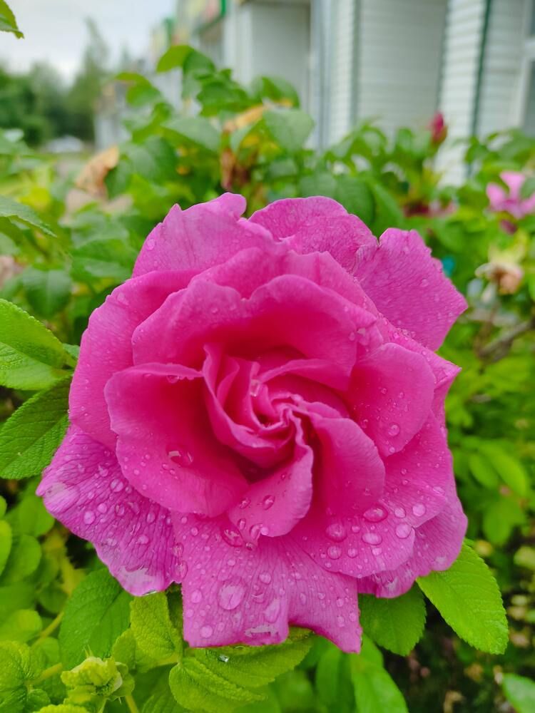 Photograph by Наталья Билай