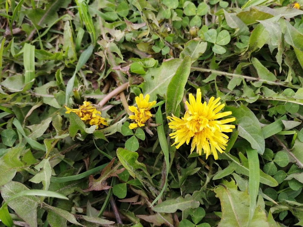 Photograph by Наталия