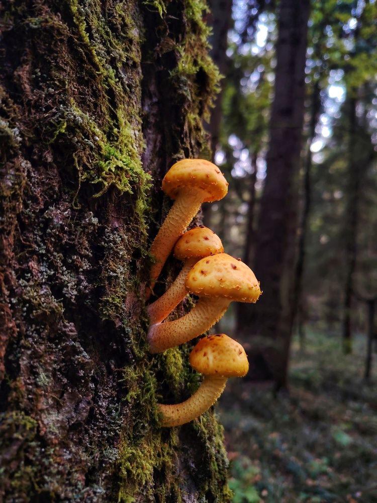 Photograph by Ольга Лукина