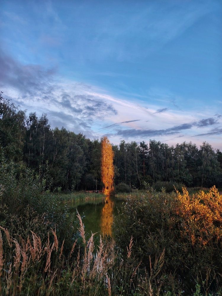 Photograph by Ольга Лукина