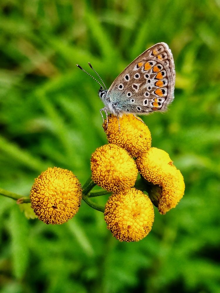 Photograph by Ольга Лукина